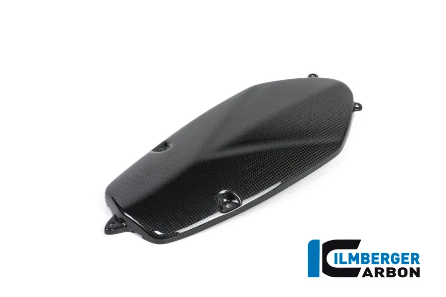 Карбоновая накладка на крышку генератора Ilmberger для BMW R nineT