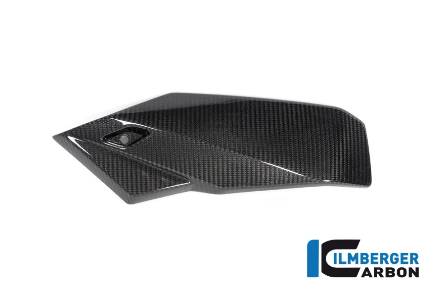Карбоновые плуги Ilmberger для BMW M1000R (2023→)/S1000R (2021→)