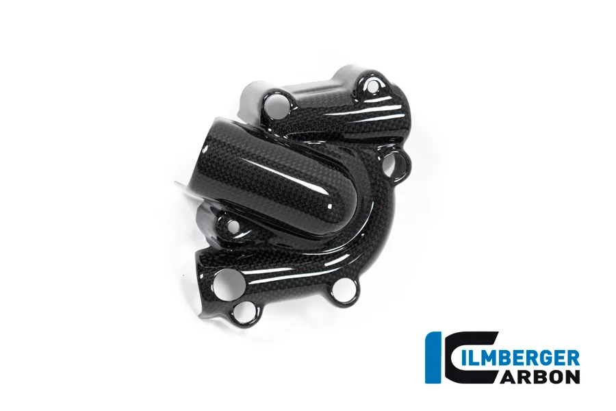 Карбоновая накладка на крышку помпы Ilmberger для Ducati Monster 1200/1200 S (2017–2021)