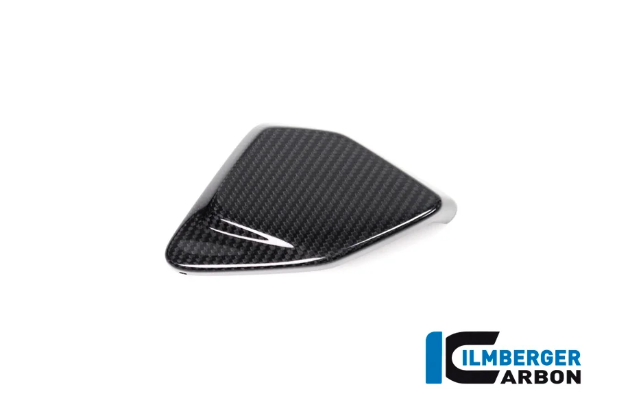 Карбоновая накладка блока ESA Ilmberger для BMW R1250GS/R1250GSA