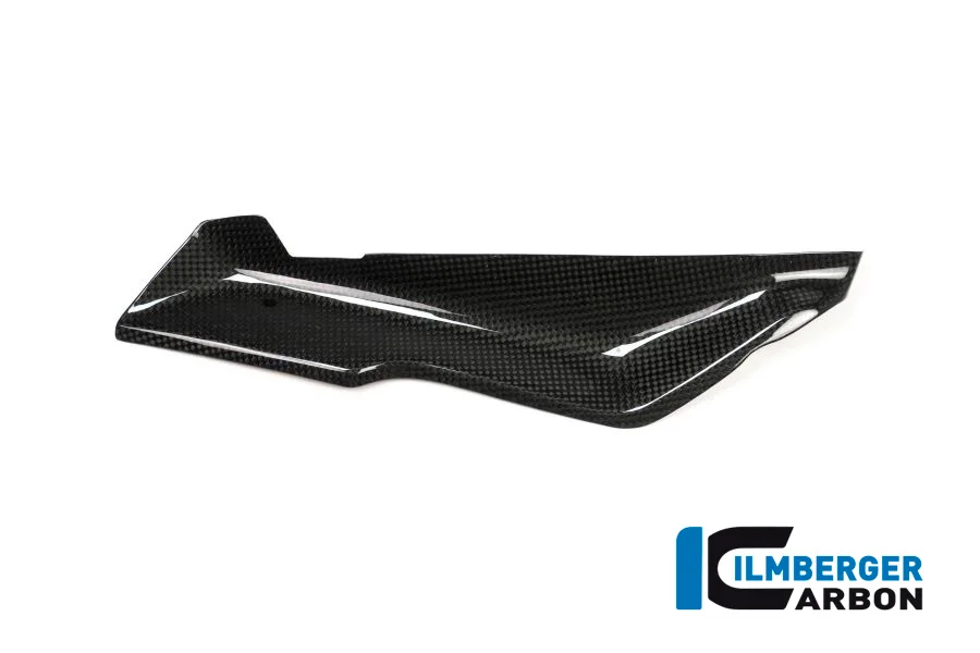 Карбоновая накладка Ilmberger для BMW R1200RS