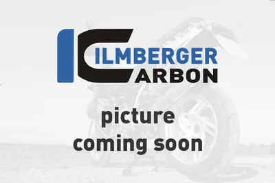 Карбоновая накладка на крышку генератора Ilmberger для Ducati Panigale 1299/959 (2015–2019)