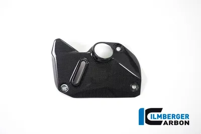 Карбоновая накладка Ilmberger для Ducati Monster 1200/1200 S (2017–2021)