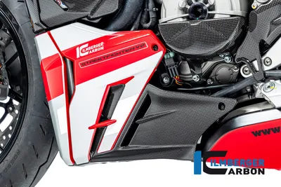 Карбоновые удлинители плуга Ilmberger для Ducati Streetfighter V2 (2022–2024)