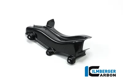 Карбоновая крышка электропроводки Ilmberger для Ducati Diavel 1260/XDiavel (2016–2024)