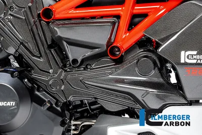 Карбоновая накладка ремня ГРМ Ilmberger для Ducati Diavel 1260 (2019–2022), горизонтальный цилиндр