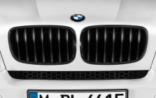 Решетка радиатора BMW X5 E70/X6 E71 (черная)