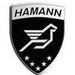 Hamann подготовило BMW 5-Series F10