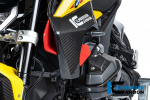 Боковые карбоновые воздухозаборники Ilmberger для BMW R1300R