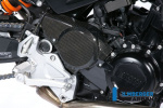 Карбоновая крышка ГРМ для BMW F800R/F800S/ST/F800GT