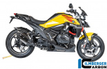 Карбоновая заглушка пассажирского сиденья BMW R1300R/R1300RS