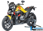 Карбоновая заглушка пассажирского сиденья BMW R1300R/R1300RS