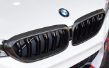 Карбоновые решетки M Performance для BMW M5 F90