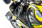 Карбоновые винглеты Ilmberger для BMW S1000RR (2019-)