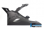 Карбоновый плуг Ilmberger для BMW S1000RR (2019-)