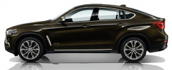 Комплект дооснащения порогами для BMW X6 F16 (Pure Extravagance)