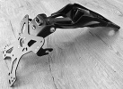 Короткий держатель номерного знака Evotech для Ducati Multistrada V4