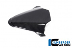 Крышка приборной панели Ilmberger для BMW M/S1000RR (2021-)
