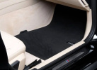 Велюровые коврики для BMW F30 3-серия, передние