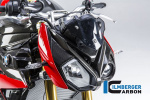 Передний карбоновый обтекатель для BMW S1000R