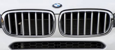 Решетка радиатора Pure Excellence для BMW X5 F15