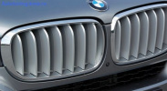 Решетка радиатора Pure Experience для BMW X5 F15
