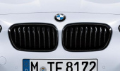 Решетки радиатора для BMW F20 LCI 1-серия