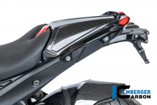 Карбоновая заглушка пассажирского сиденья BMW R1300R/R1300RS