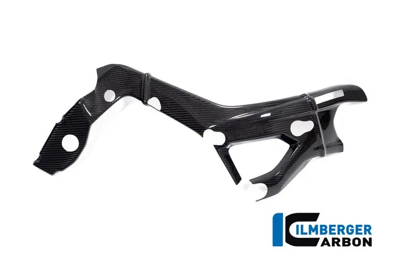 Карбоновые накладки на раму BMW S1000R (2021→)/M1000R (2023→)