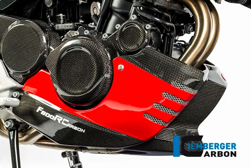 Карбоновый плуг Ilmberger для BMW F800R/F800S/ST/F800GT
